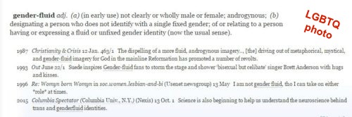 gender-fluid-definition-500x166
