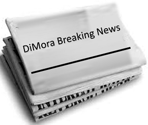 Image result for news frank dimora